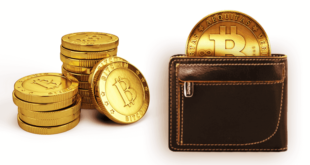 Лучшие кошельки для криптовалюты 2019